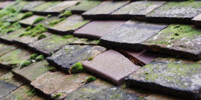 Campton roof repair costs